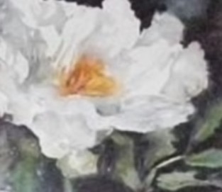 Inge Suhr (12. Dezember 2012)