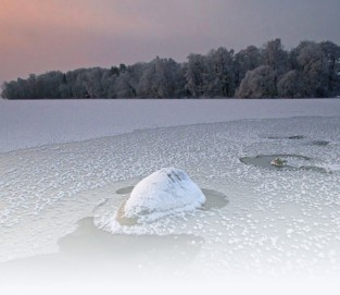 Fotoausstellung Natur Pur